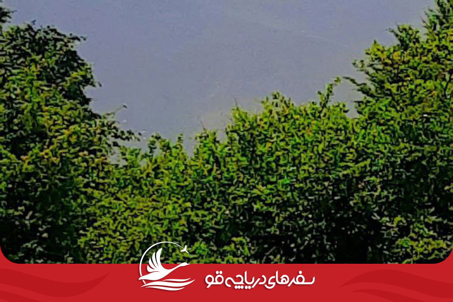 Alimestan03