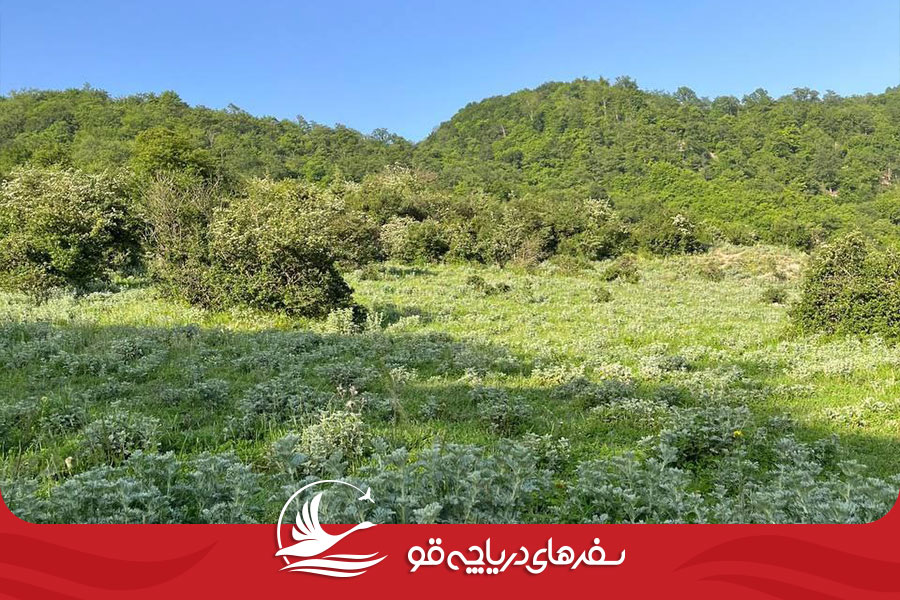 Alimestan04