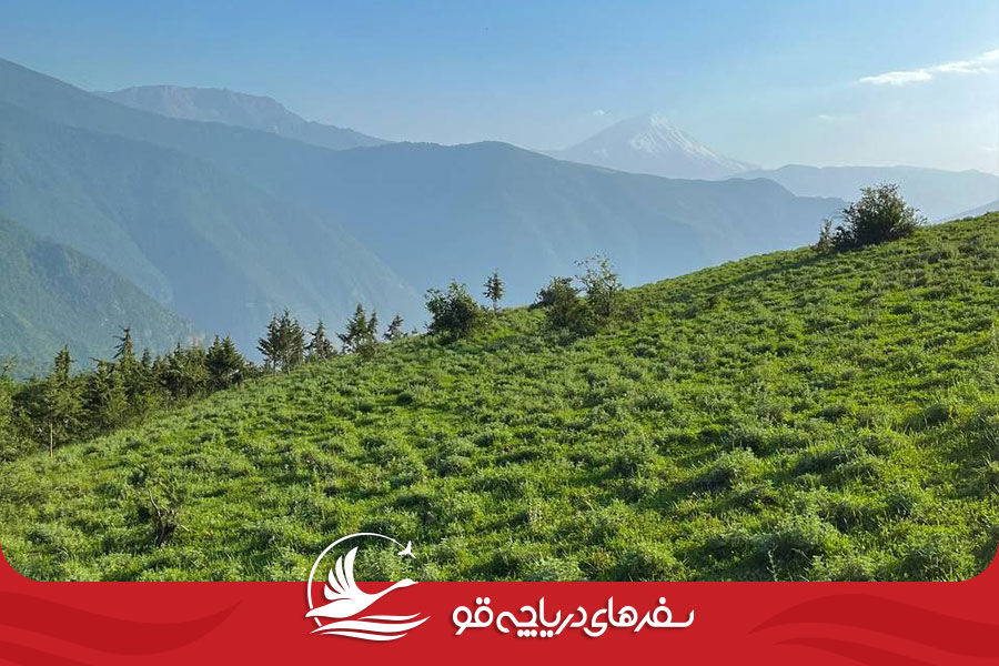 Alimestan05